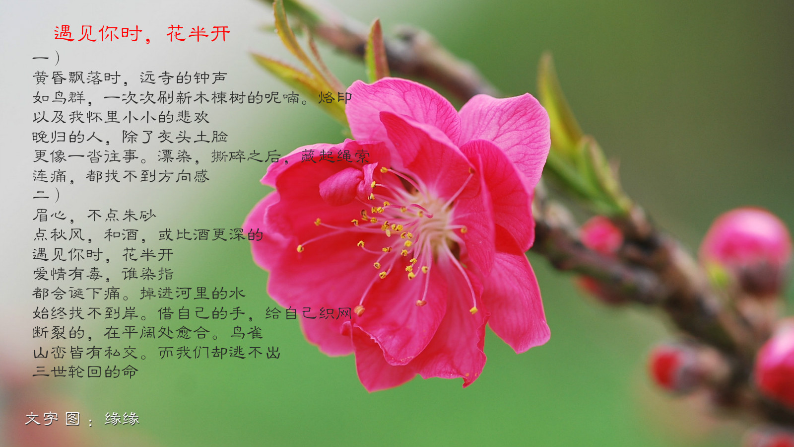 14091Q00052-2_meitu_3.jpg