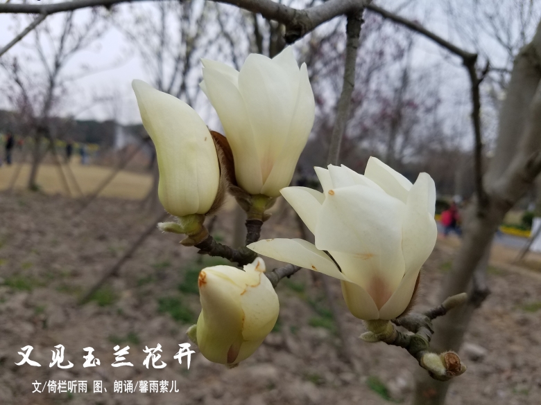 20170311_155839_conew1.jpg