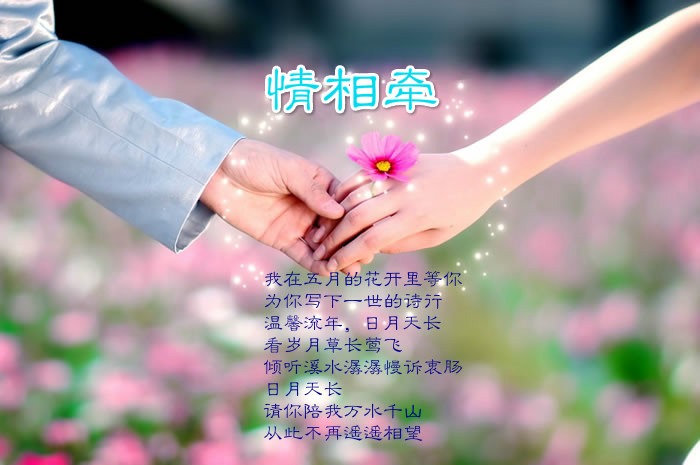 1258544377_meitu_1.jpg