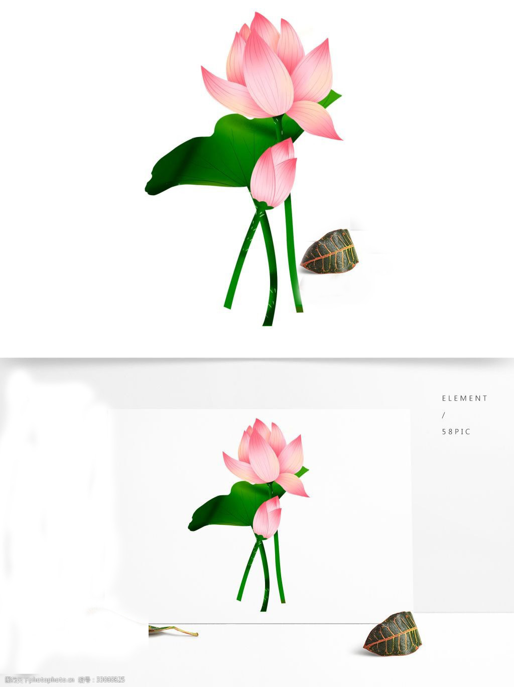 23.jpg