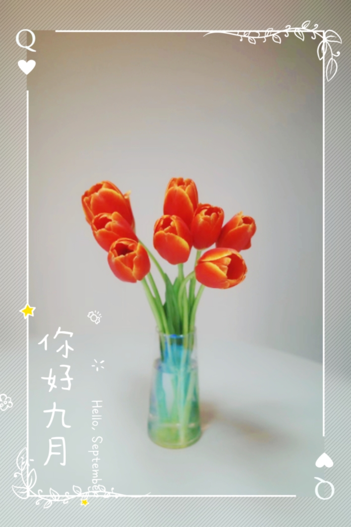 MEITU_20240913_170845047.jpg