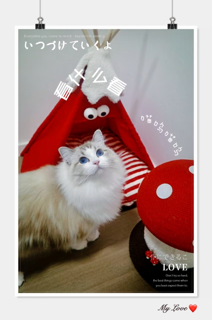 MEITU_20241027_235200614.jpg