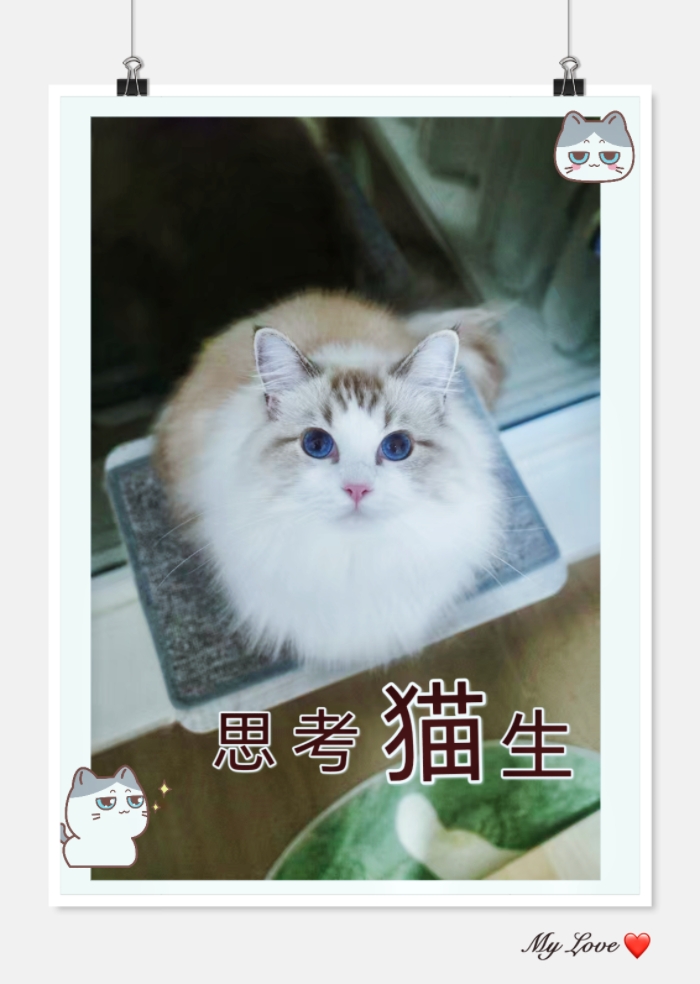 MEITU_20241027_235848522.jpg