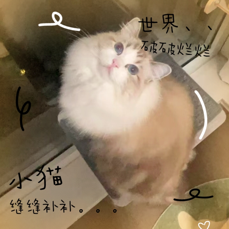 MEITU_20250106_212806086.jpg