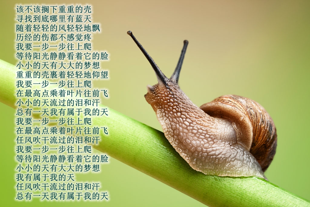 t01a606bd3277407aea.jpg