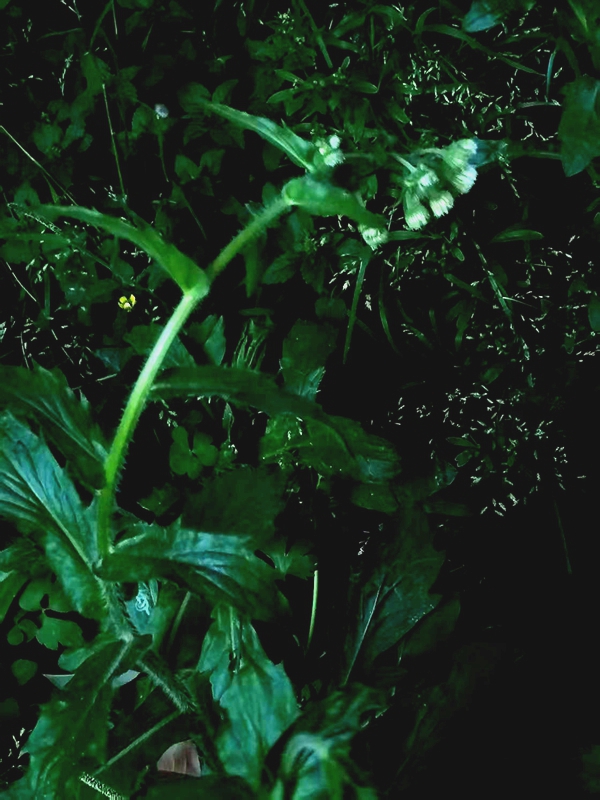 ΢ͼƬ_20250418185344.jpg