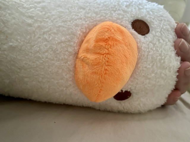 IMG_6032.jpeg