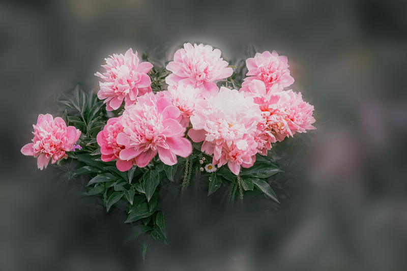 5K7A0129.jpg