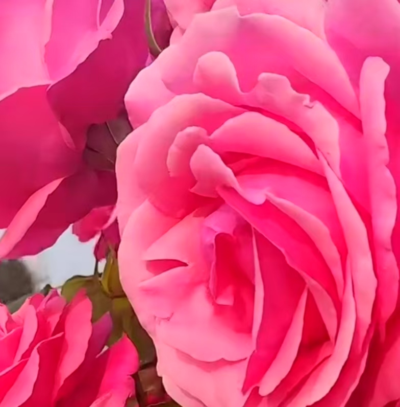 ΢ͼƬ_20250506122937.jpg