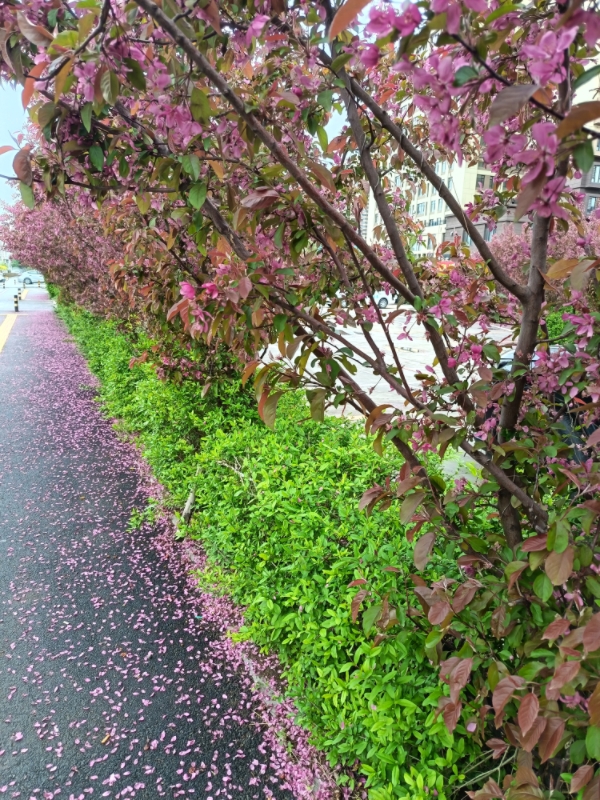 MEITU_20250506_225011239.jpg