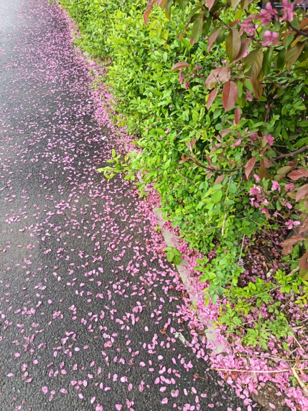 MEITU_20250506_224929594.jpg