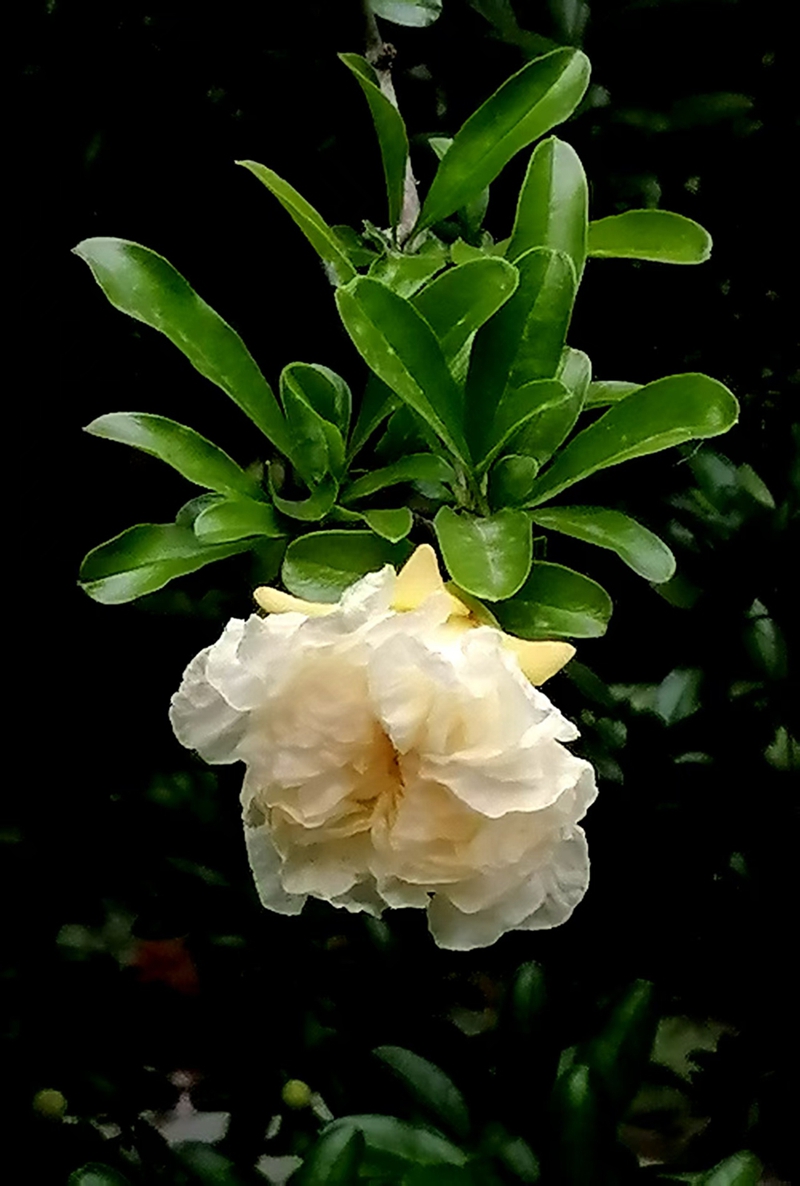 ΢ͼƬ_20250508080542.jpg