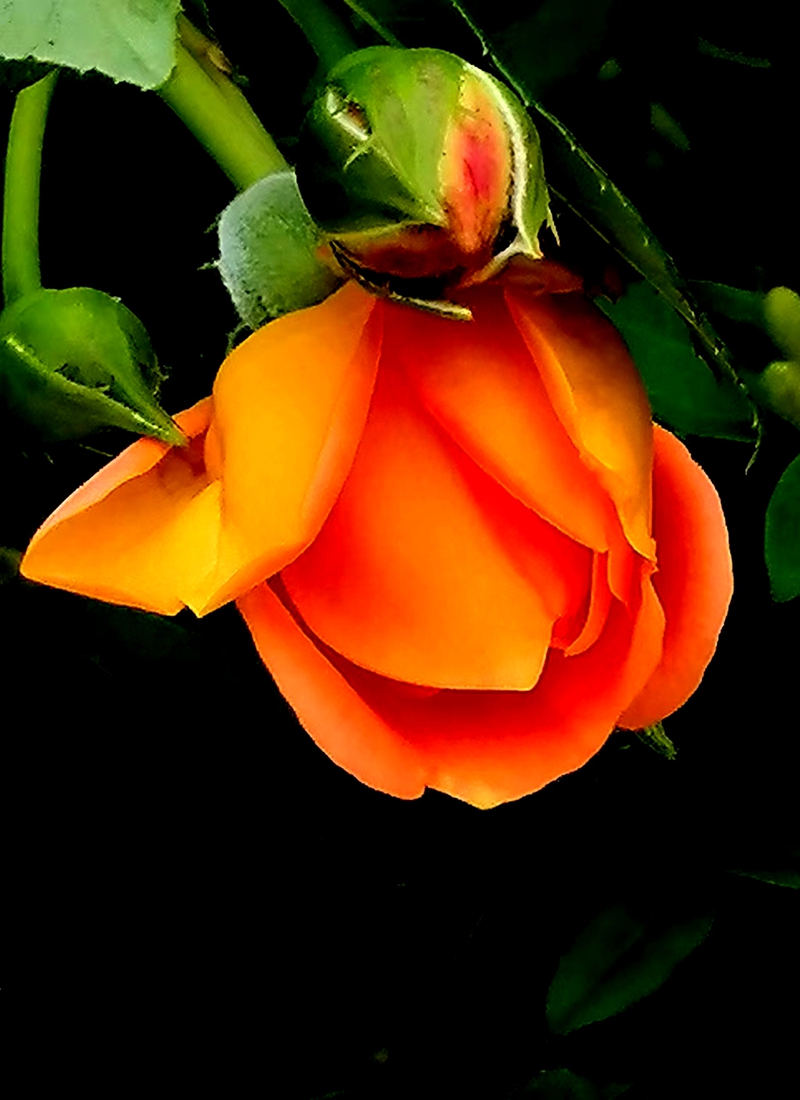 ΢ͼƬ_20250508080501.jpg
