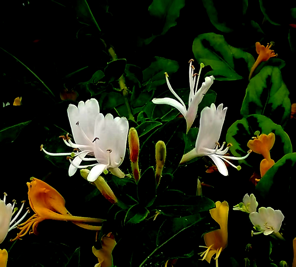 ΢ͼƬ_20250508080517.jpg