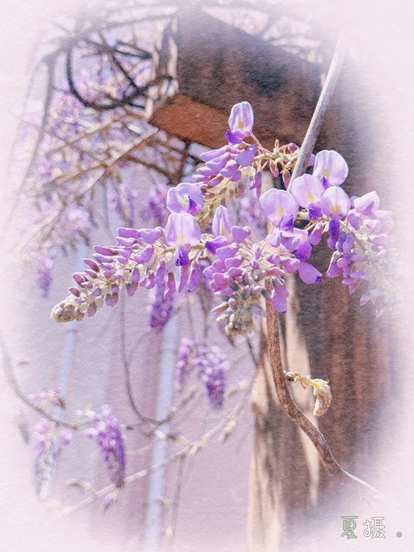 IMG_3243.jpeg
