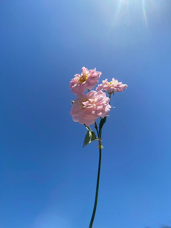 B28C8C79-F005-4099-94E3-99832D3C8047.jpeg