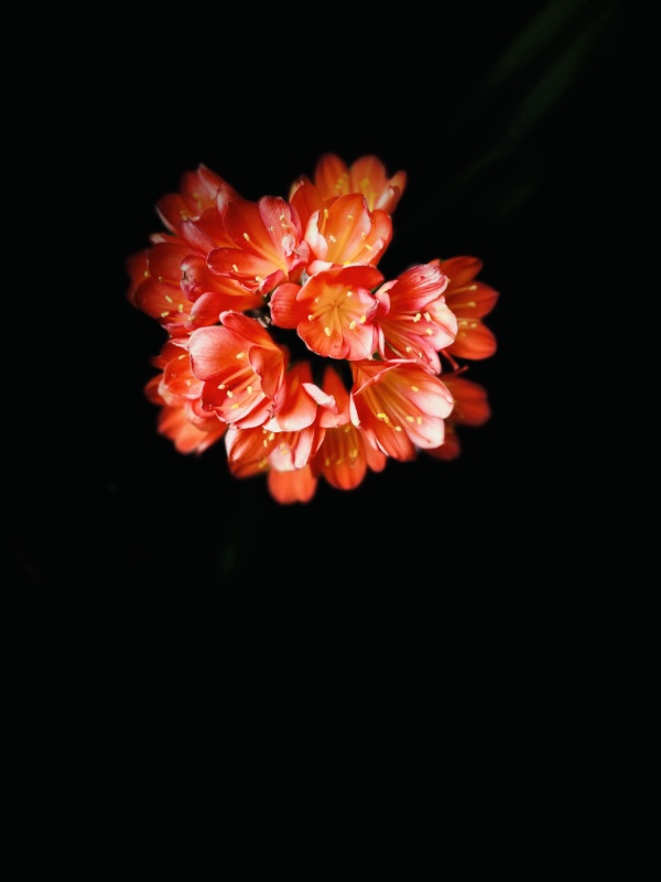 943310B3-5DBE-4C23-AA5C-EB0D7416130F.jpeg