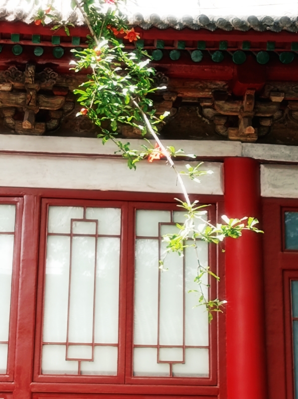 MEITU_20250504_163750727.jpg