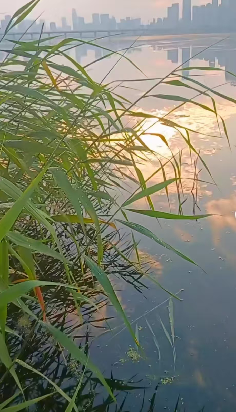 ΢ͼƬ_20250510083119.jpg
