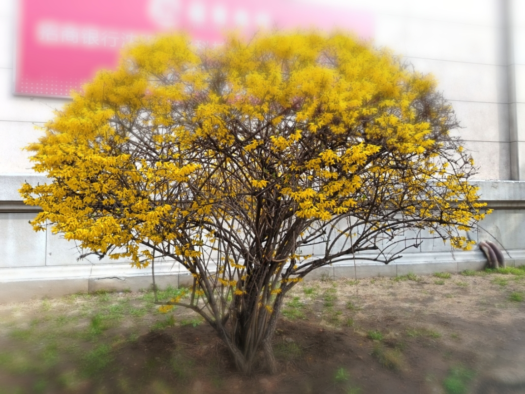 MEITU_20250510_190721919.jpg
