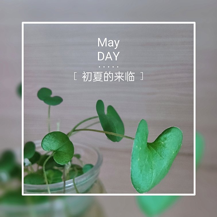 MEITU_20250510_225622184.jpg
