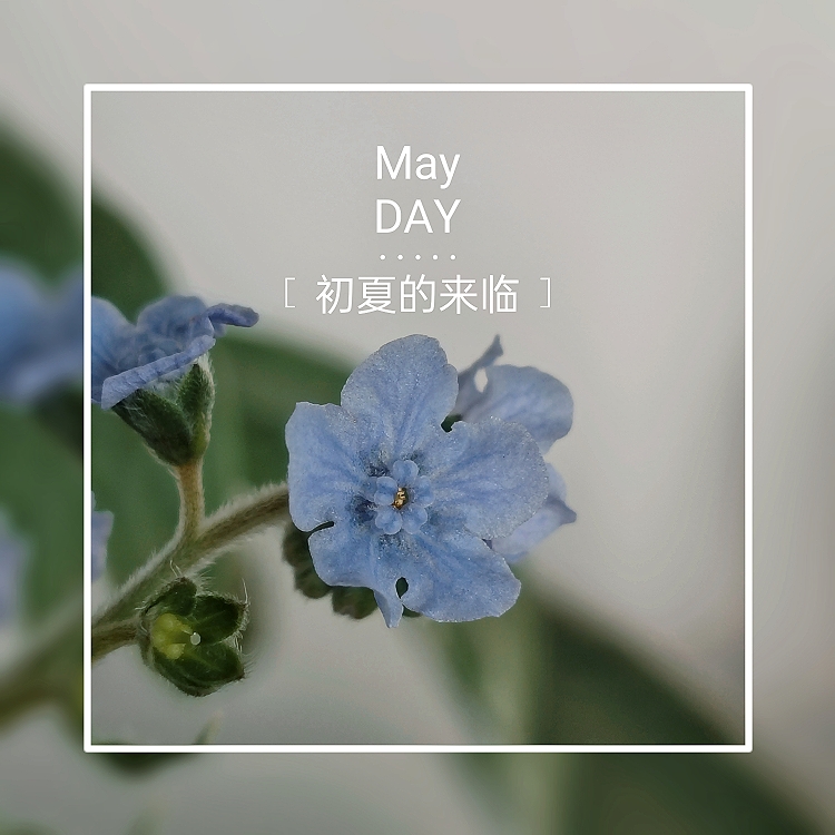MEITU_20250510_225547808.jpg