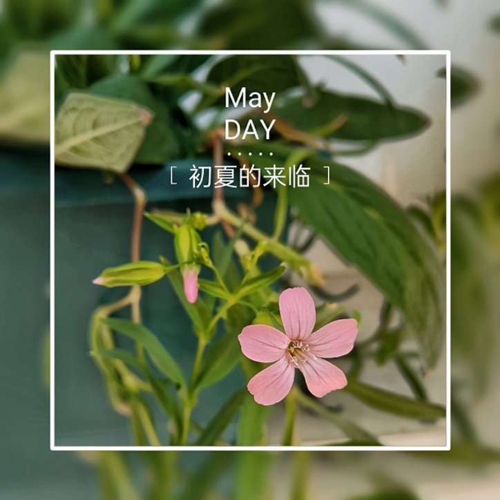MEITU_20250510_230454207.jpg