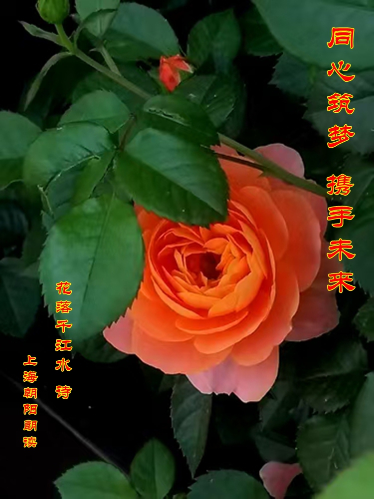 ΢ͼƬ_20250511090131.jpg