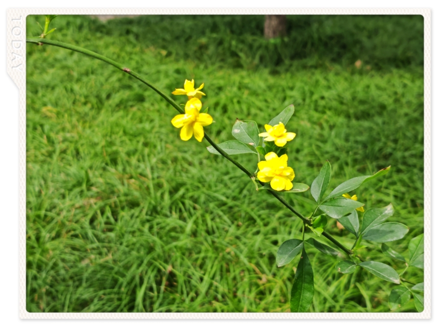 MEITU_20250511_091151151.jpg