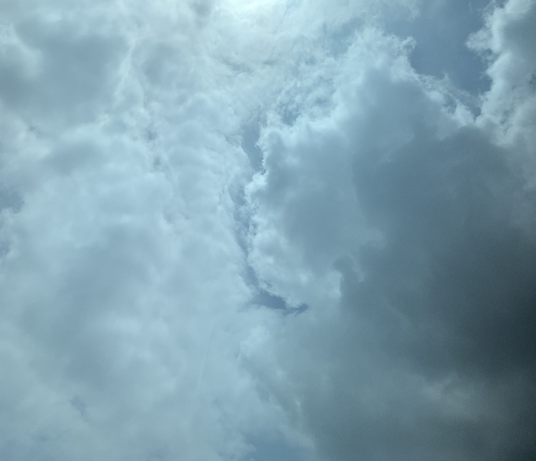 ΢ͼƬ_20230723162447_.jpg