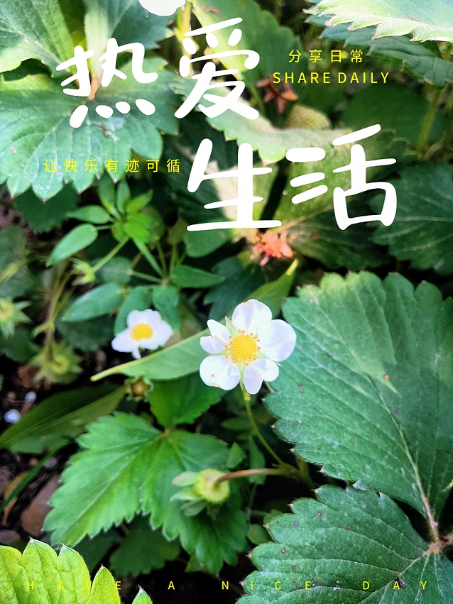 MEITU_20250512_085310041.jpg