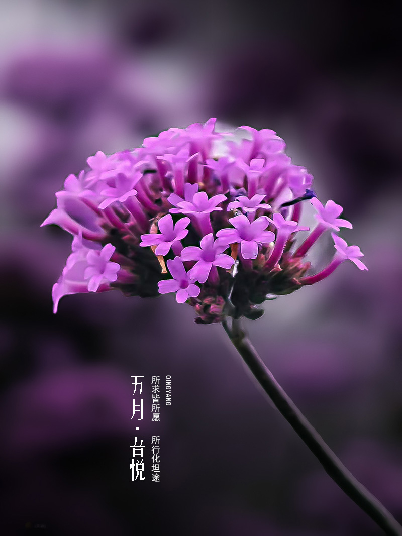 ΢ͼƬ_20250512235110.jpg