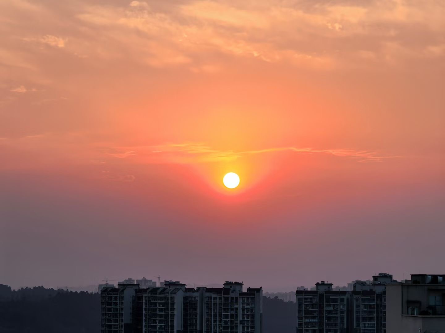 918F7621-93D4-4A5C-B48D-64845514D4F8.jpeg