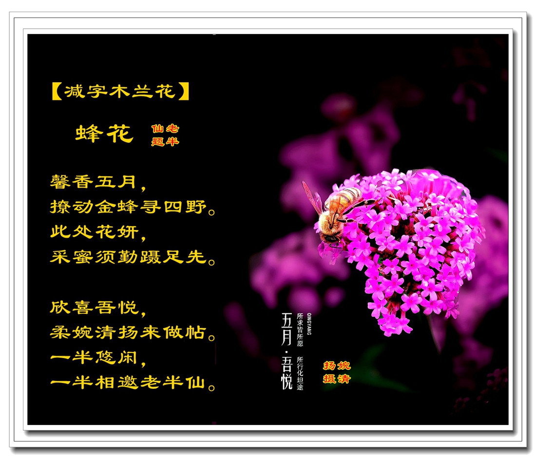 235510bp9v6f1iqdrjfz4p.jpg