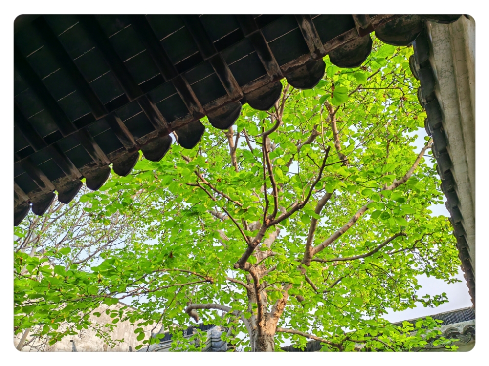 MEITU_20250513_081607776.jpg