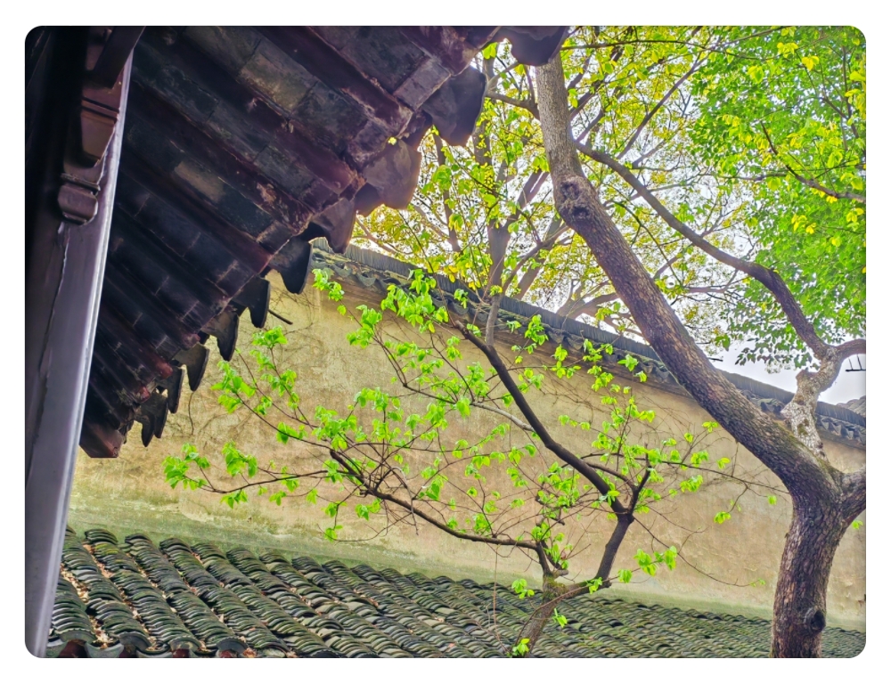 MEITU_20250513_081905159.jpg