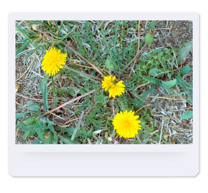 IMG_2834.jpeg