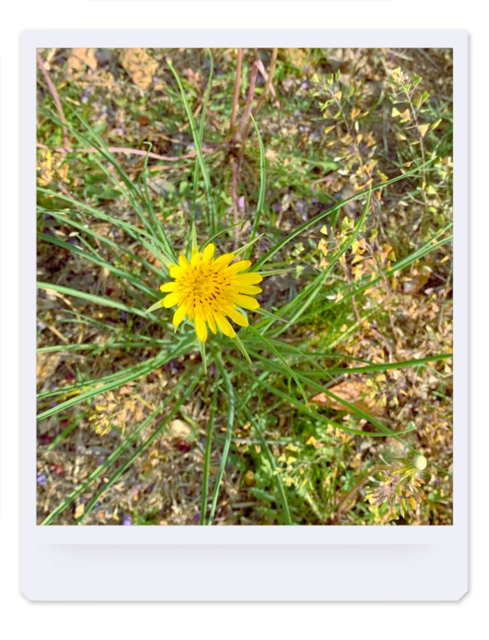 IMG_2835.jpeg