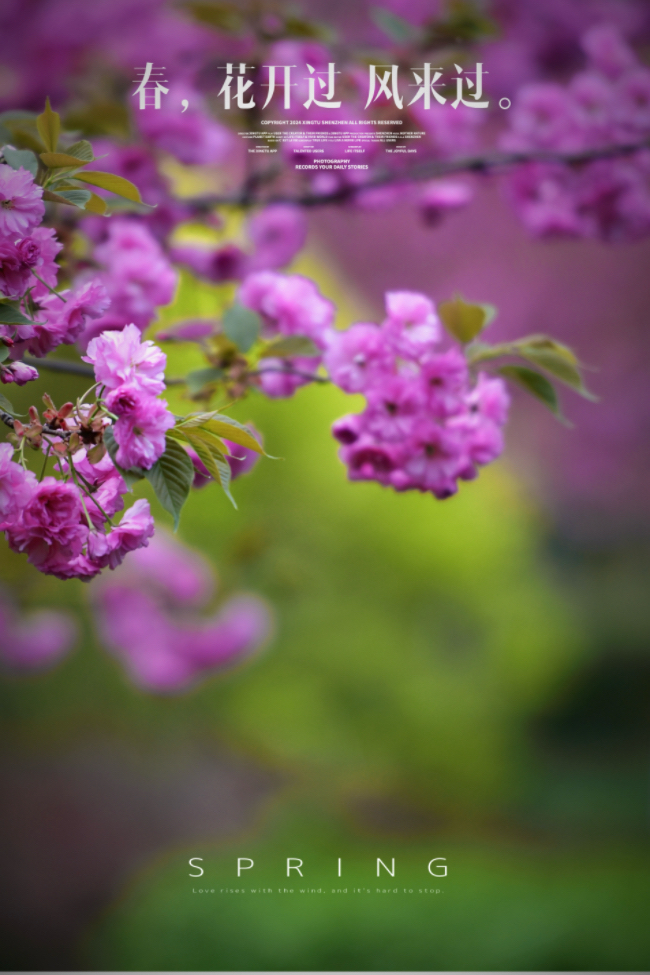 IMG_2814.jpeg