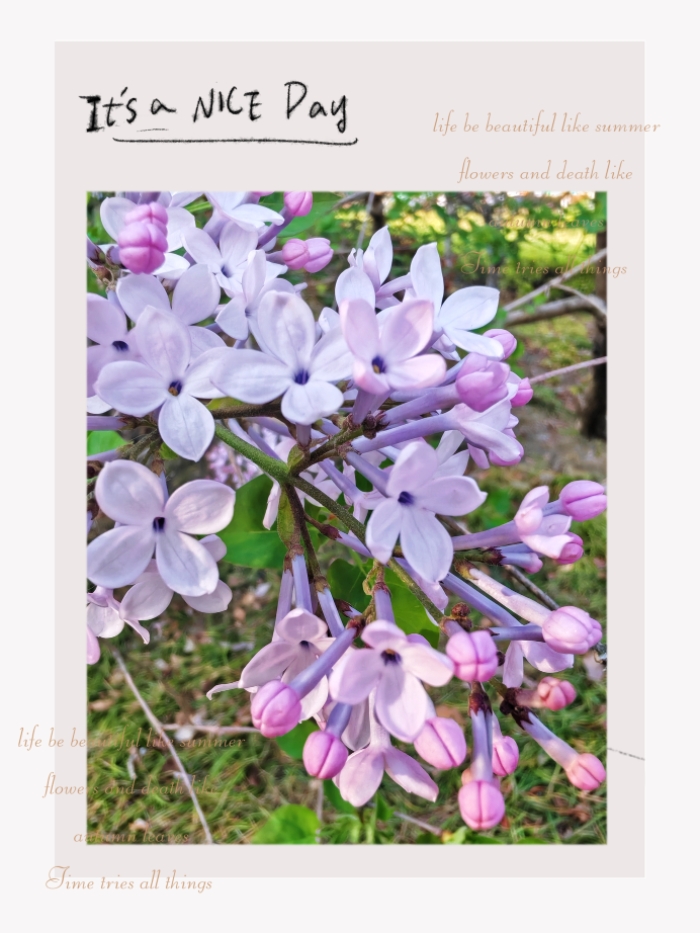 MEITU_20250513_163653917.jpg