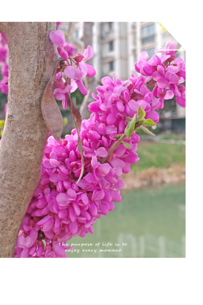 MEITU_20250513_164223707.jpg