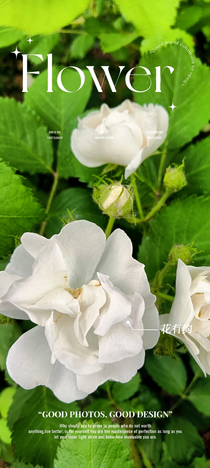 MEITU_20250515_062623548.jpg