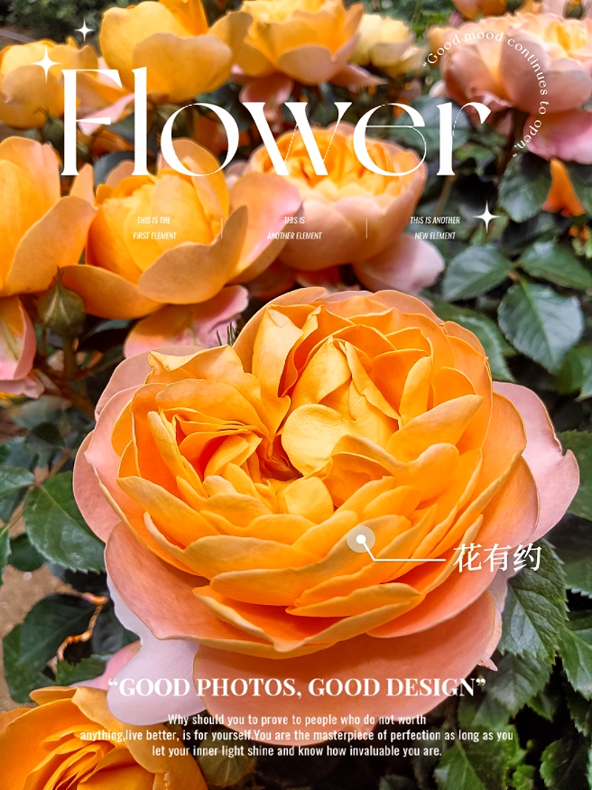 MEITU_20250515_062055511.jpg