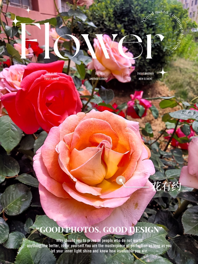 MEITU_20250515_061936350.jpg