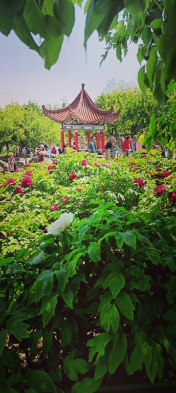 MEITU_20250516_223750745.jpg