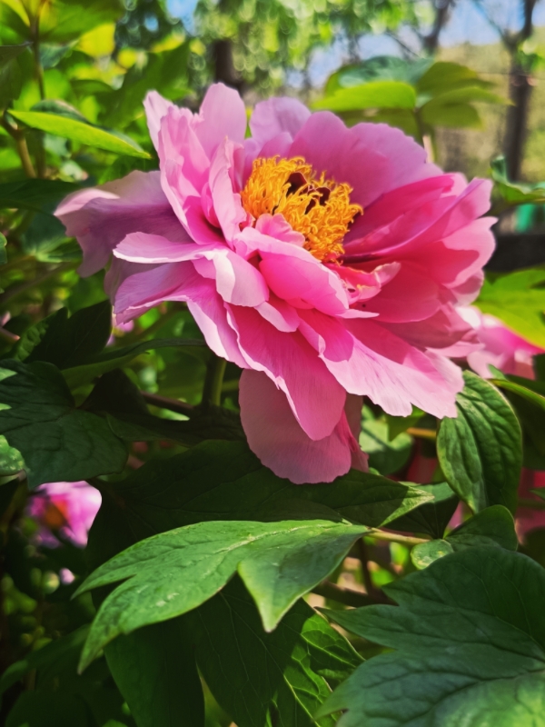 MEITU_20250516_223835376.jpg