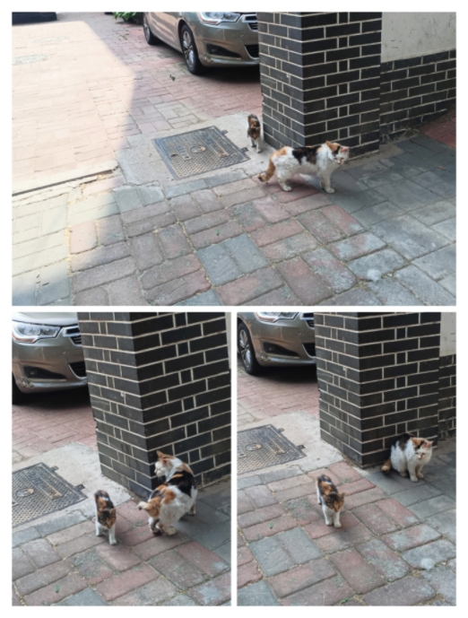 MEITU_20250517_065224660.jpg