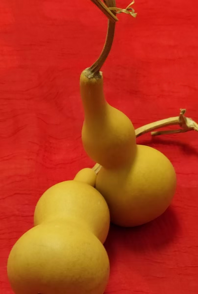 ΢ͼƬ_20250517173808.jpg