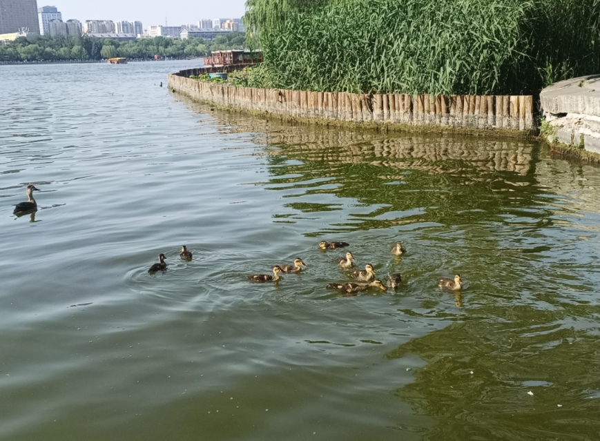 MEITU_20250518_074738868.jpg