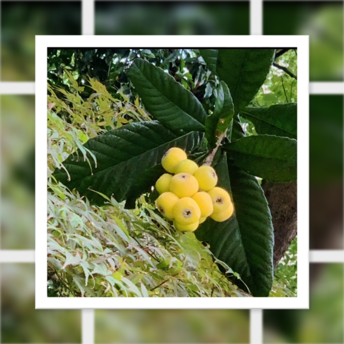 IMG_3013.png